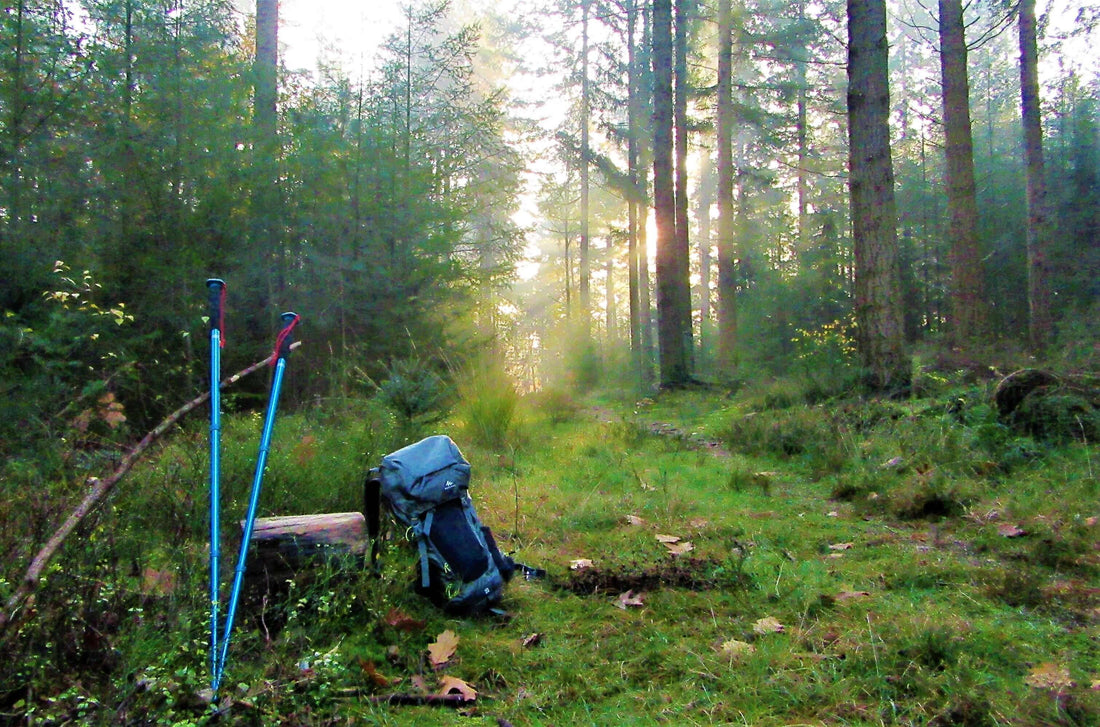 Say Goodbye to Outdoor Oral Hygiene Hassles !